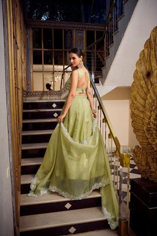 Stunning Green Color Gold Crush Lehenga With Sequins And Thread Embroidery With Jarkan Diamond Work Blouse